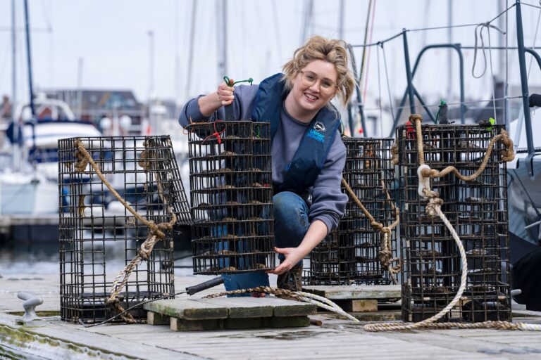 UNIQUE PROJECT UNDERWAY TO RESTORE OYSTERS TO BELFAST LOUGH